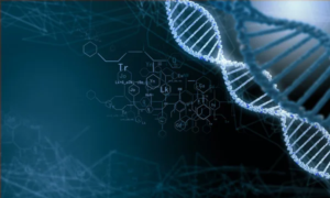 Não há possibilidade de mudanças do DNA, dos códigos genéticos específicos de cada sexo.